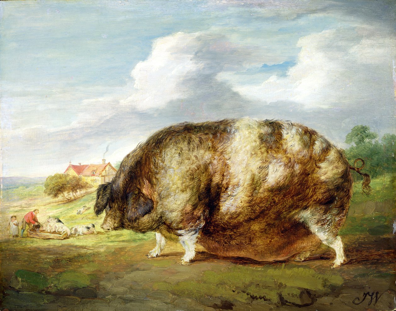 A Gloucestershire Old Spot (olja på panel) av James Ward