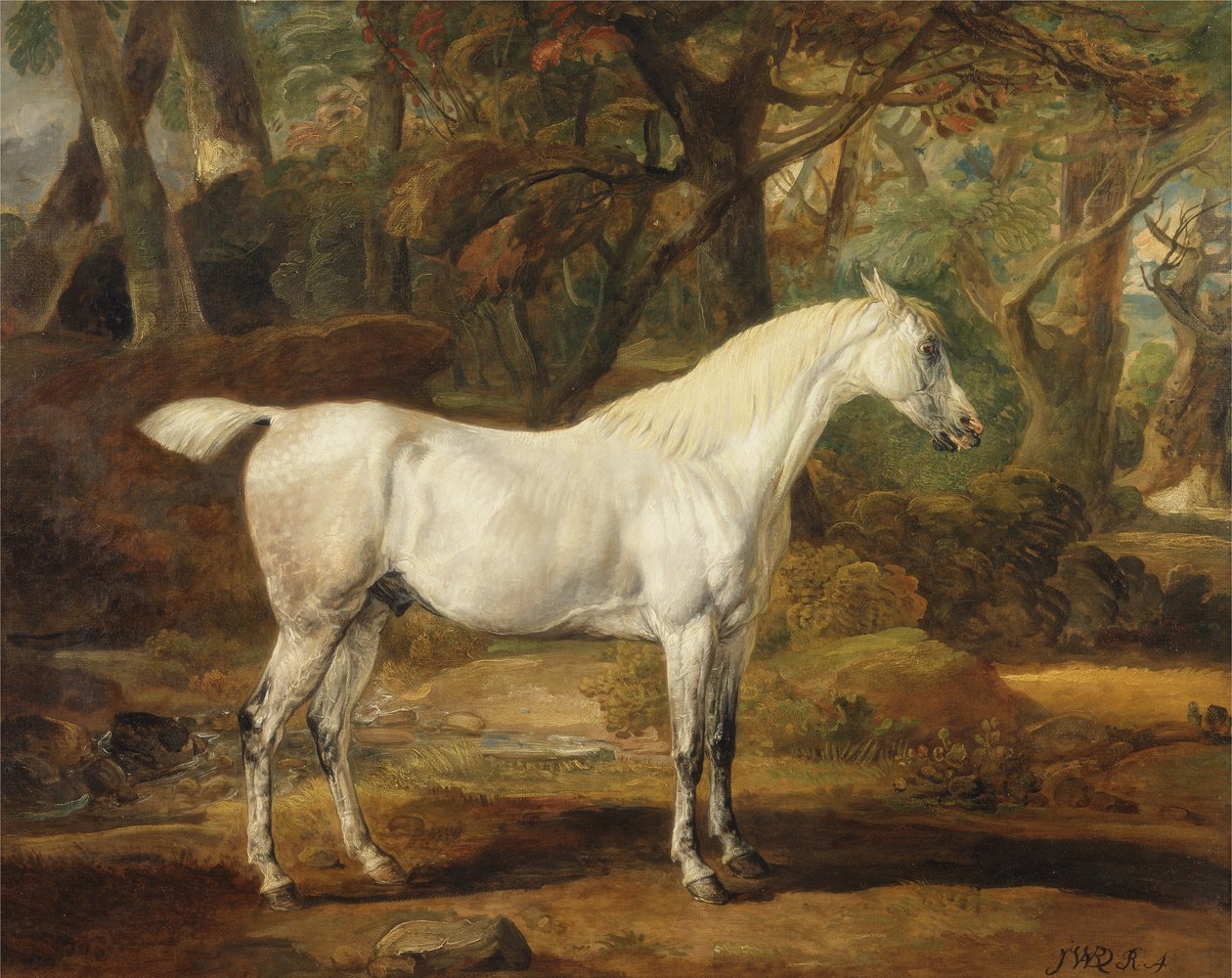A Grey Arabian Stallion, Sir Watkin Williams-Wynns egendom, ca 1815-20 (olja på duk) av James Ward