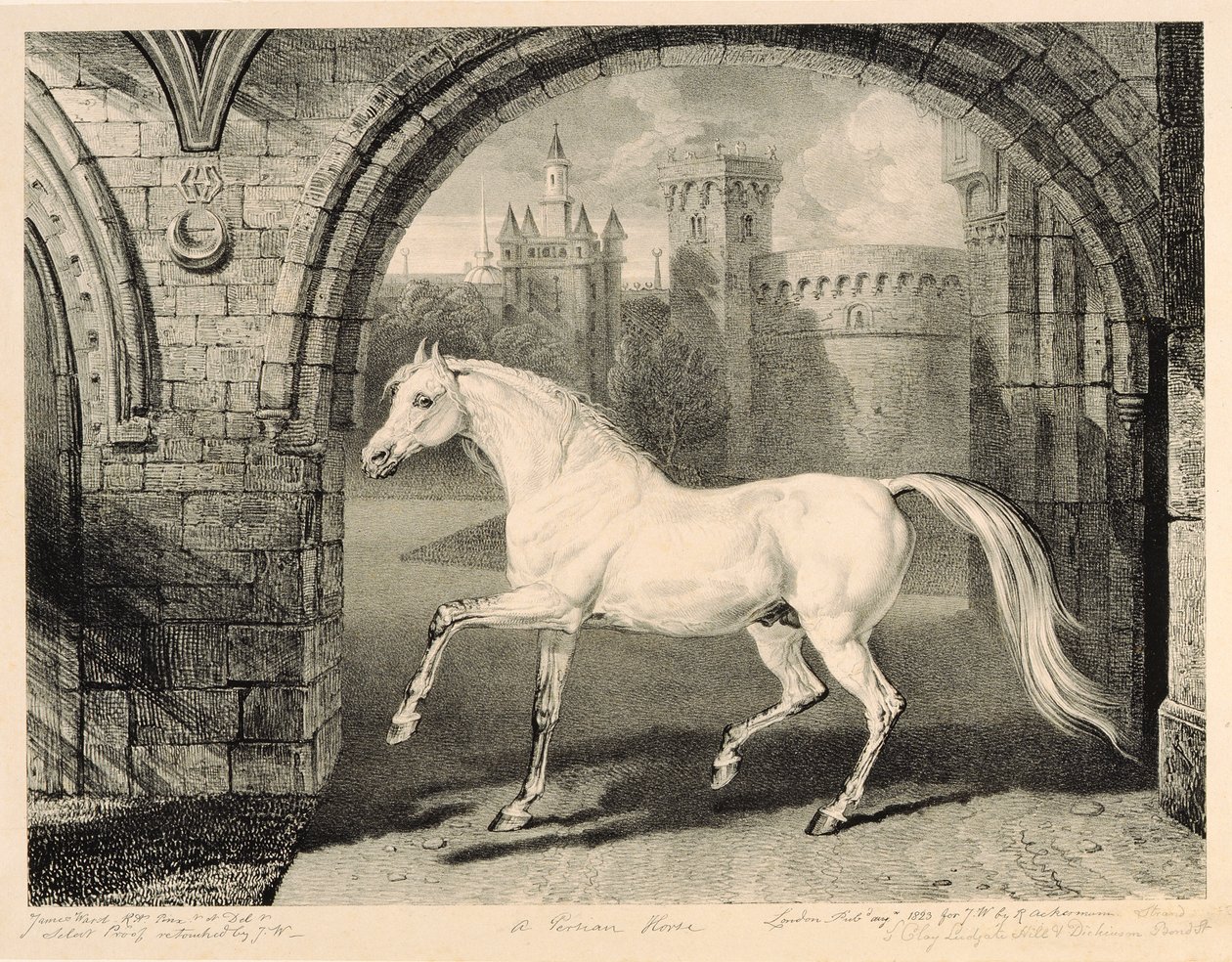 A Persian Horse, från "Celebrated Horses", en uppsättning av fjorton racingtryck publicerade av konstnären, 1823-24 av James Ward