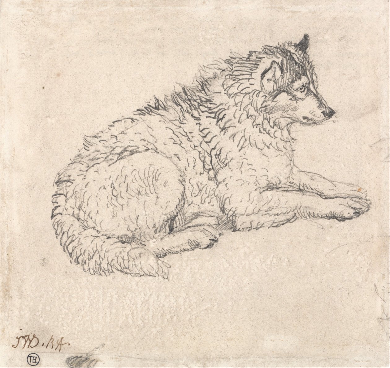 Polarhund, vänd mot höger av James Ward