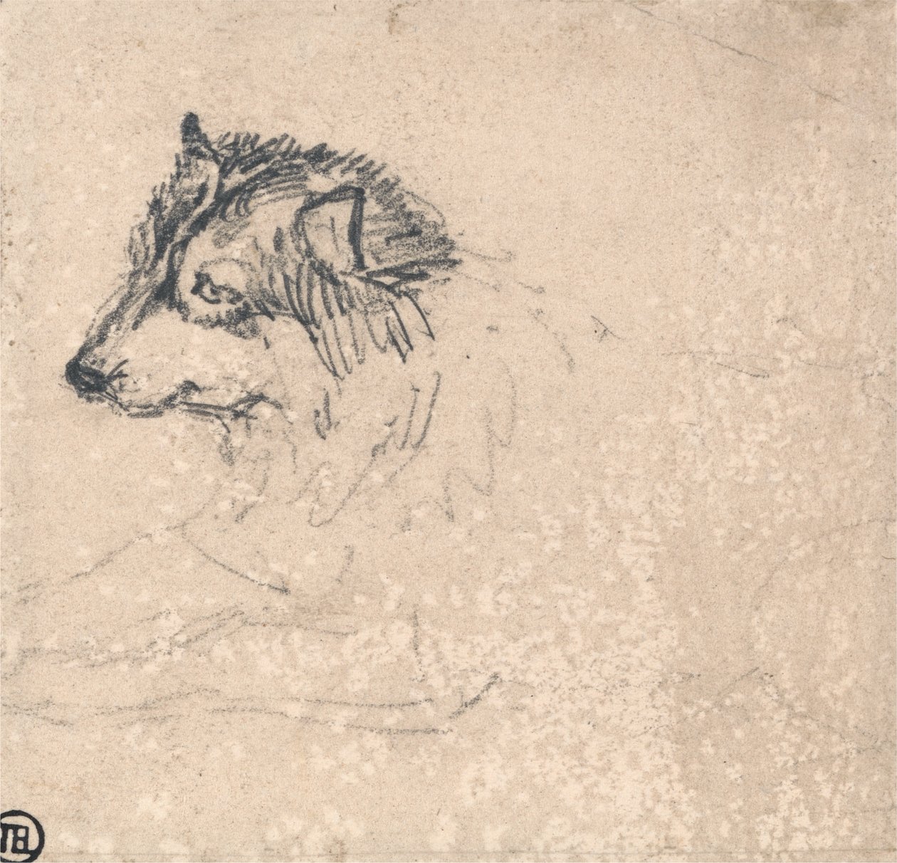 Arktisk hund, vänd åt vänster av James Ward