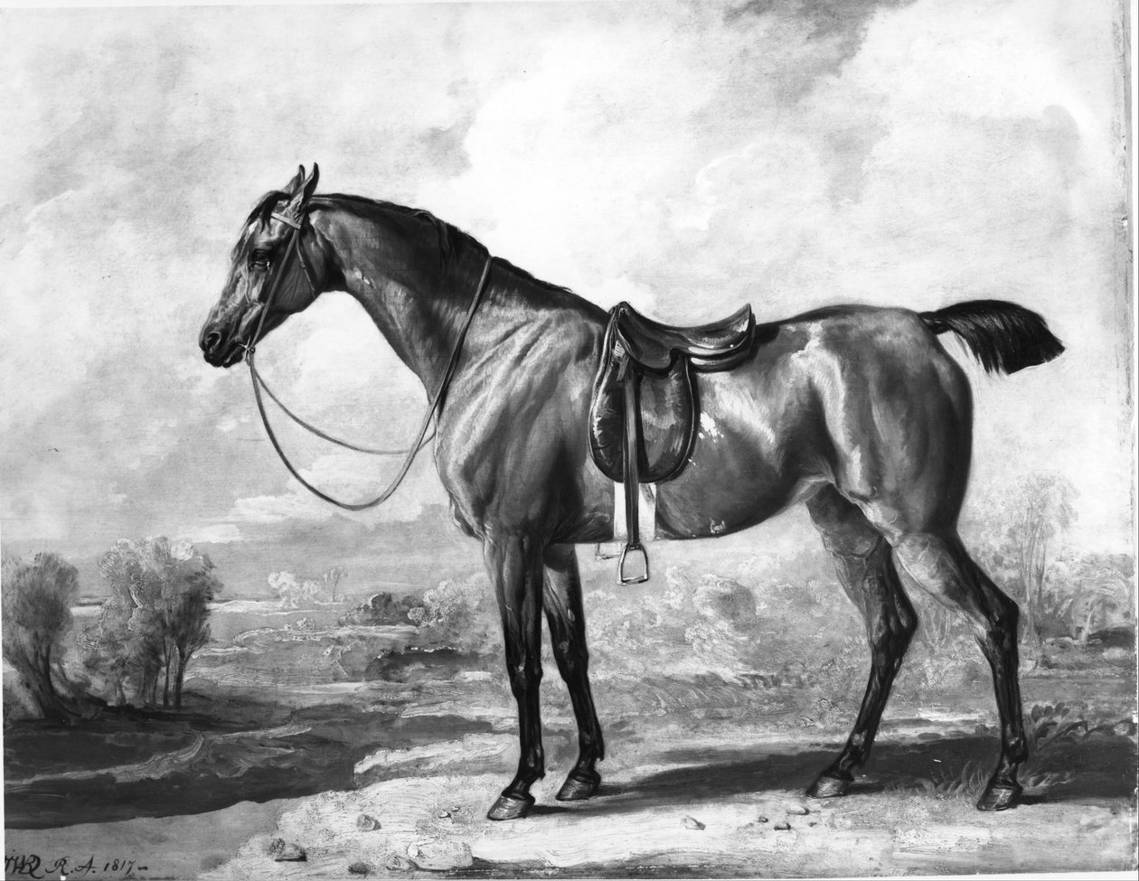 Brun jakthäst av James Ward
