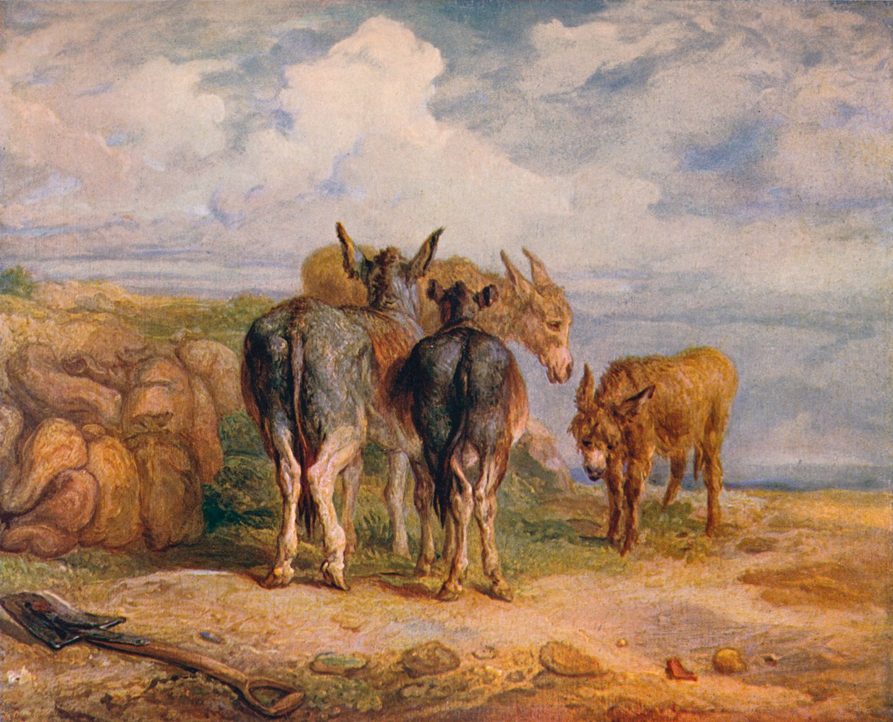 Åsnor, c1831 1904 av James Ward