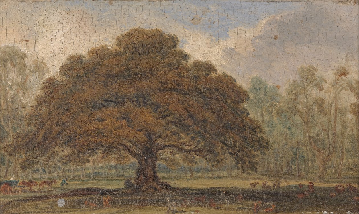Landskap med rådjur under "Tiggarens ek", Dagots park... av James Ward