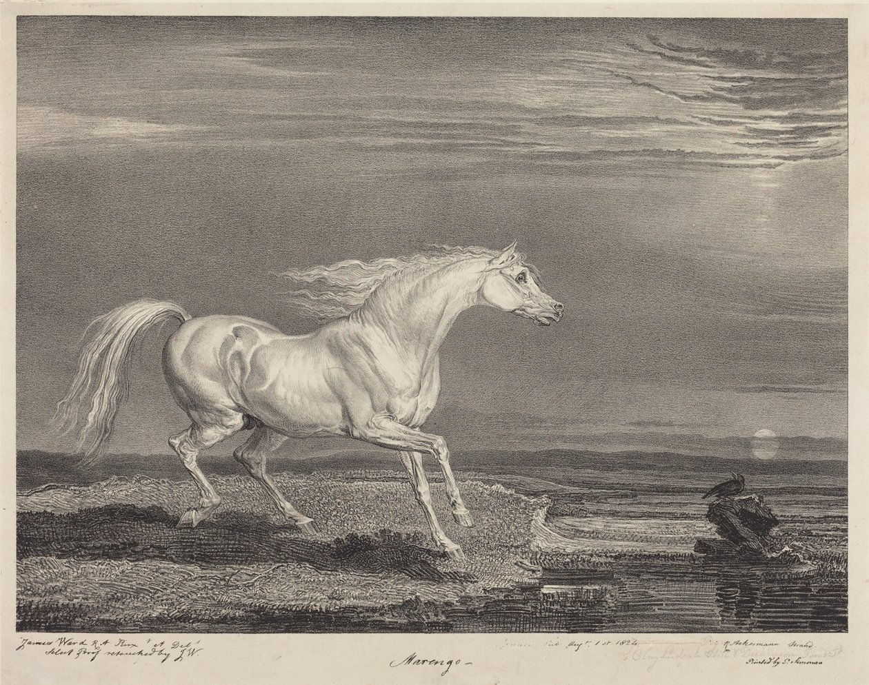 Marengo av James Ward