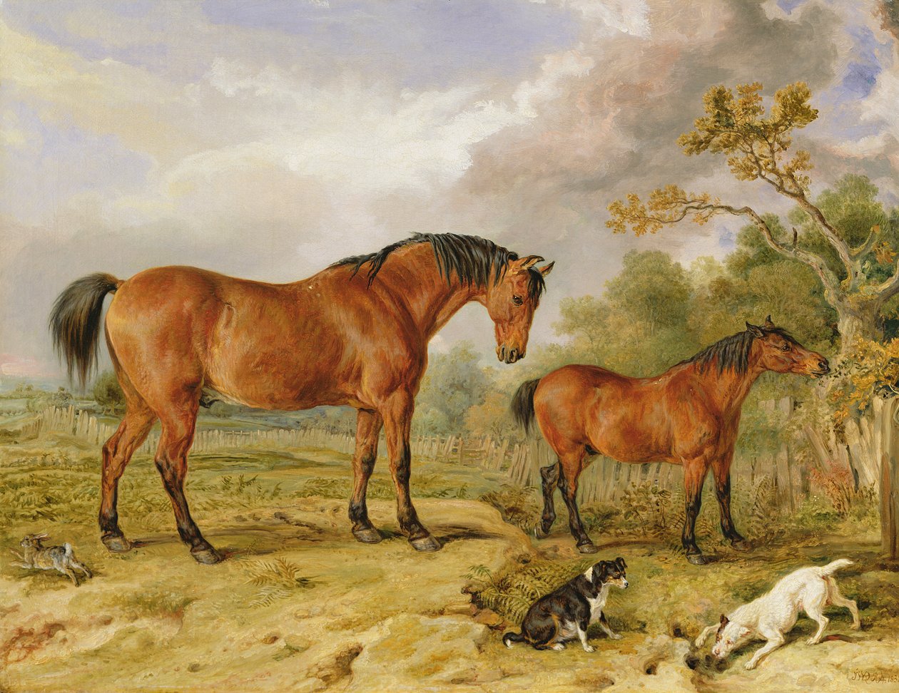 Porträtt av Reformer, Blucher, Tory och Crib, Rowland Alstons egendom, Esq. av James Ward