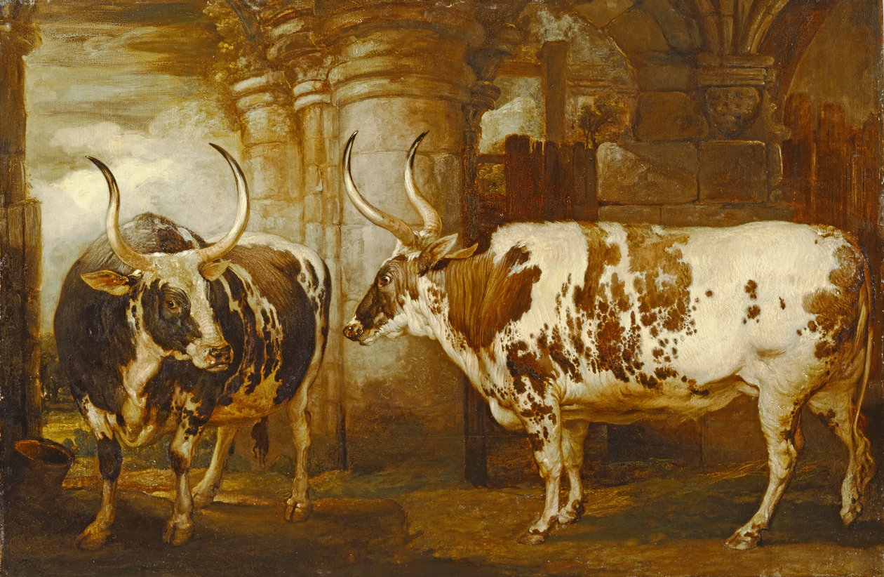 Porträtt av två extraordinära oxar, egendom av Earl of Powis av James Ward