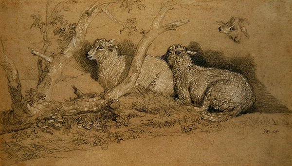 Får som vilar i en skogbevuxen skog och en studie av huvudet på ett får (svartvit krita på grått papper) av James Ward