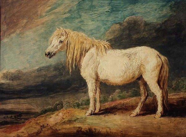 Shetlandsponny av James Ward