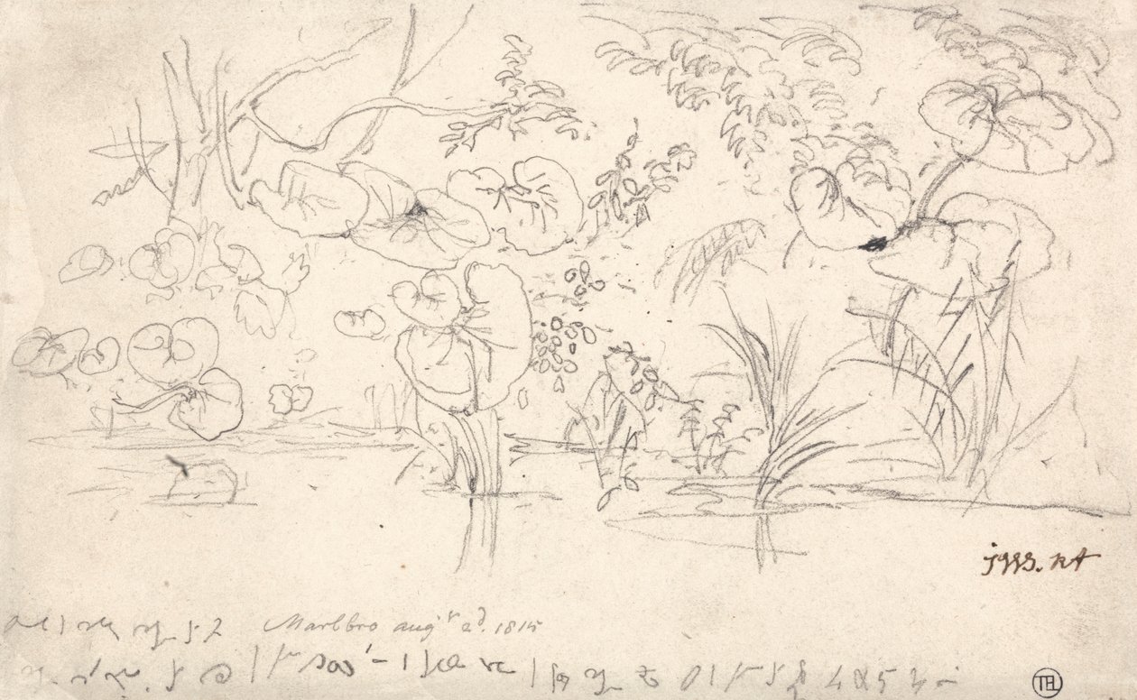 Studies of Plants, 2 augusti 1815 av James Ward