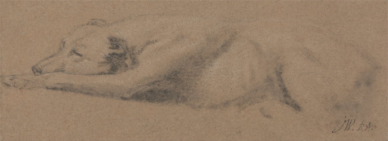 Studie av en sovande hund av James Ward