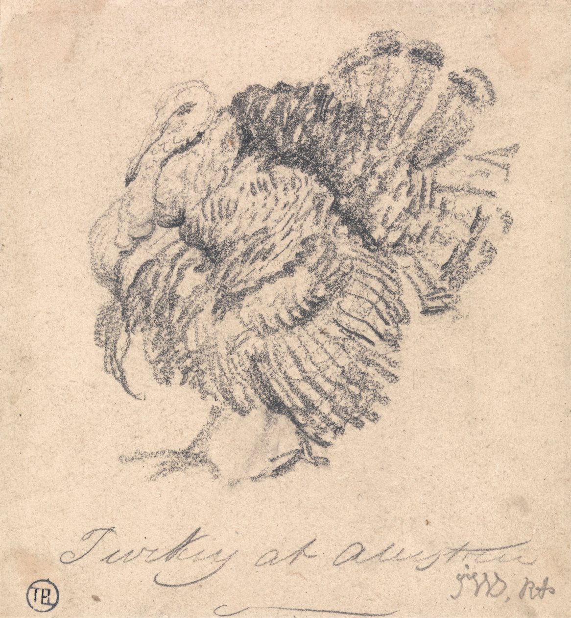 Studie av ett Turkiet av James Ward