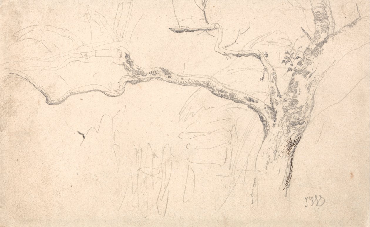 Trädstudie av James Ward