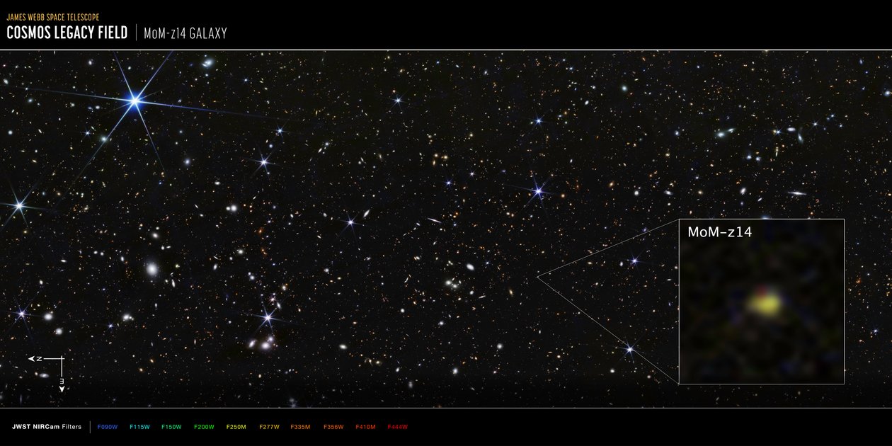 COSMOS-fältet, galaxen MoM-z14 (bild från NIRCam) av James Webb Space Telescope (NASA)