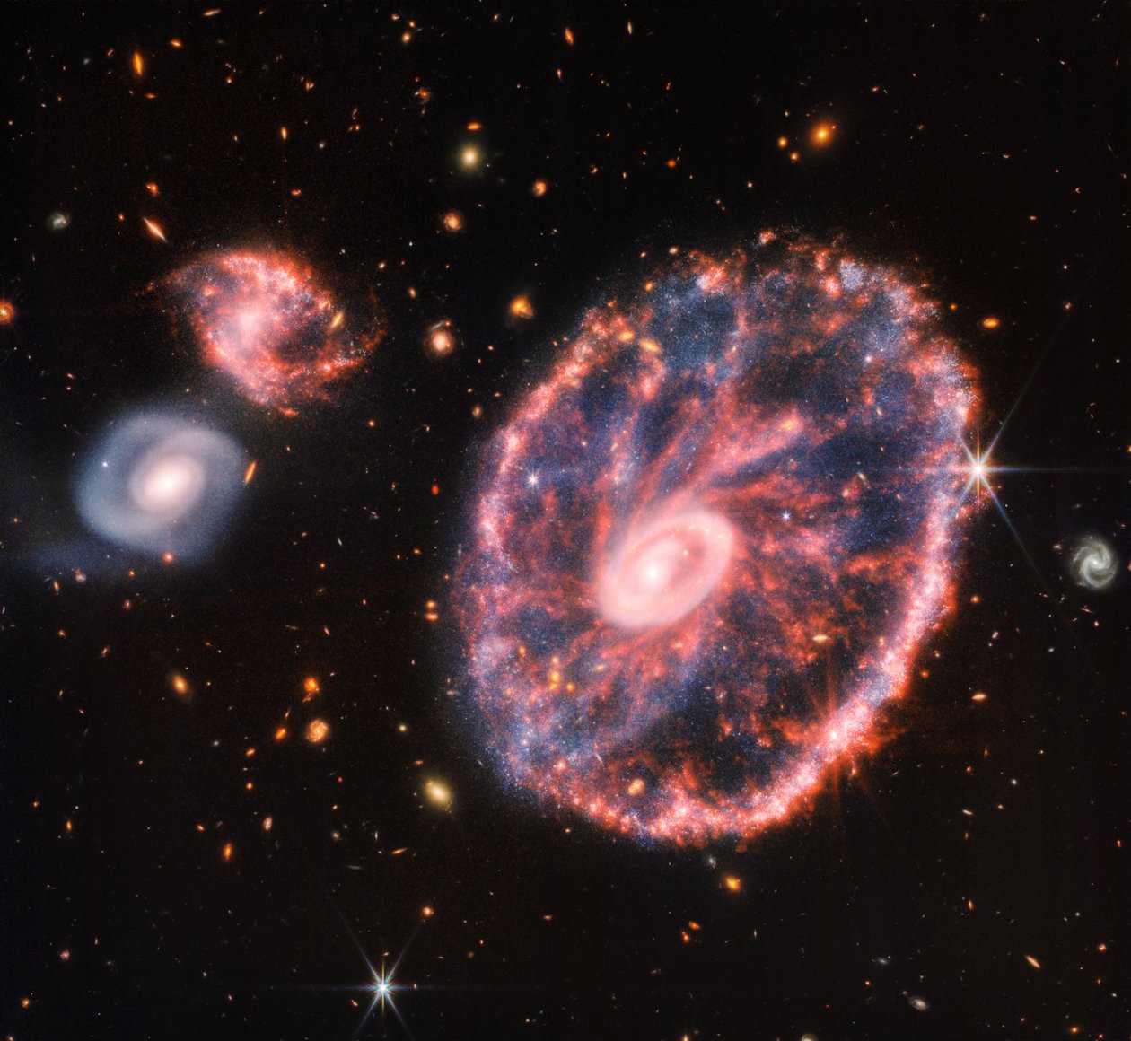 Cartwheel Galaxy (NIRCam och MIRI Composite Image) av James Webb Space Telescope (NASA)