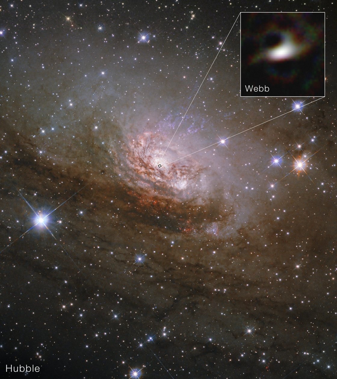 Circinusgalaxen (Hubble och Webb) av James Webb Space Telescope (NASA)