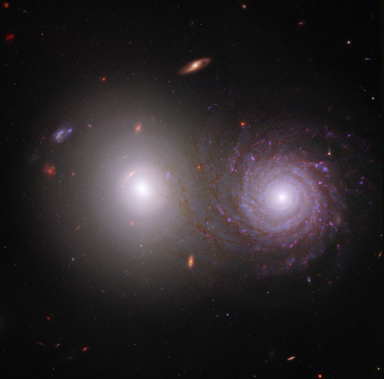 Interagerande galaxer VV 191 (Webb och Hubble Composite Image) av James Webb Space Telescope (NASA)