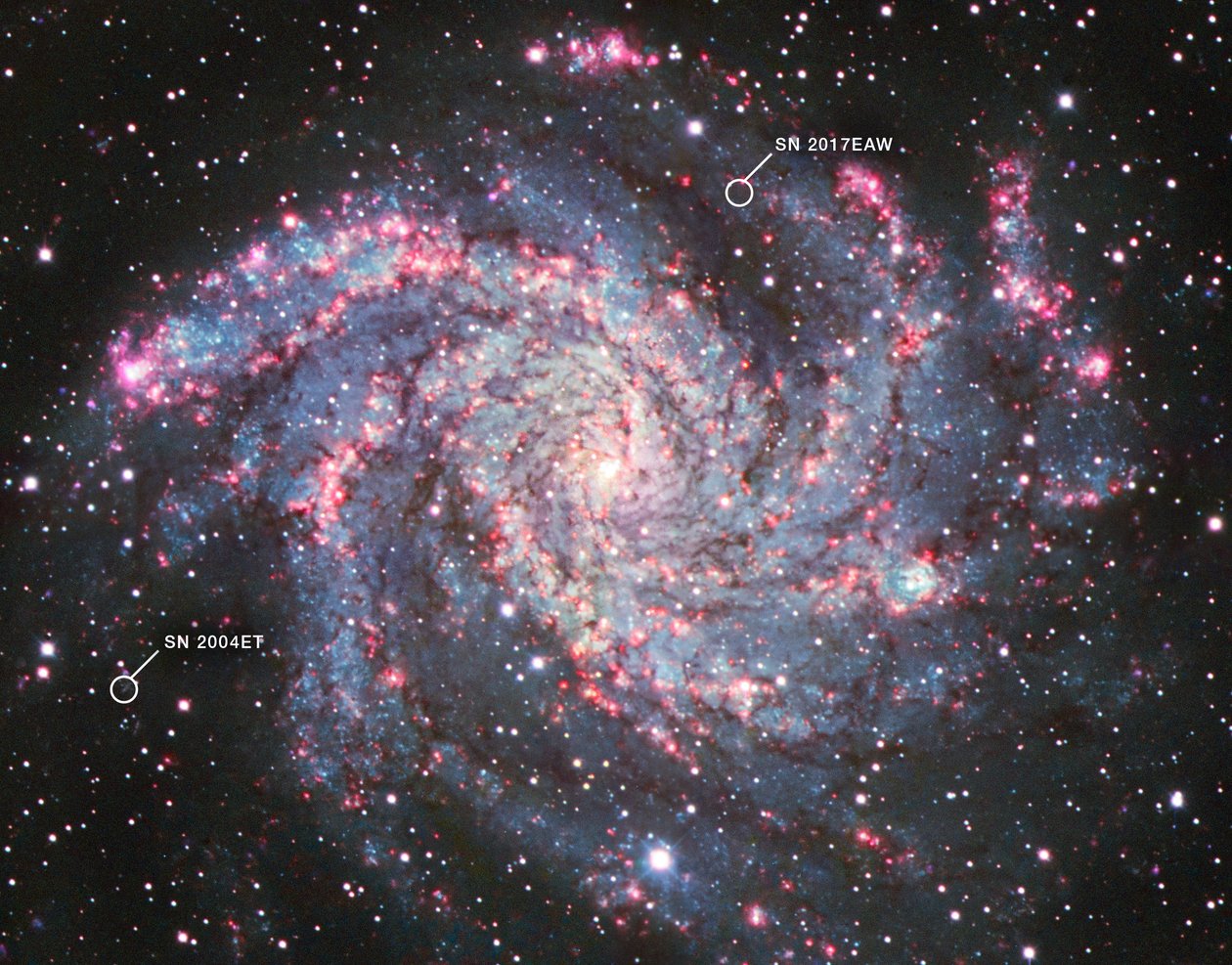 NGC 6946 (Kitt Peak National Observatory) av James Webb Space Telescope (NASA)