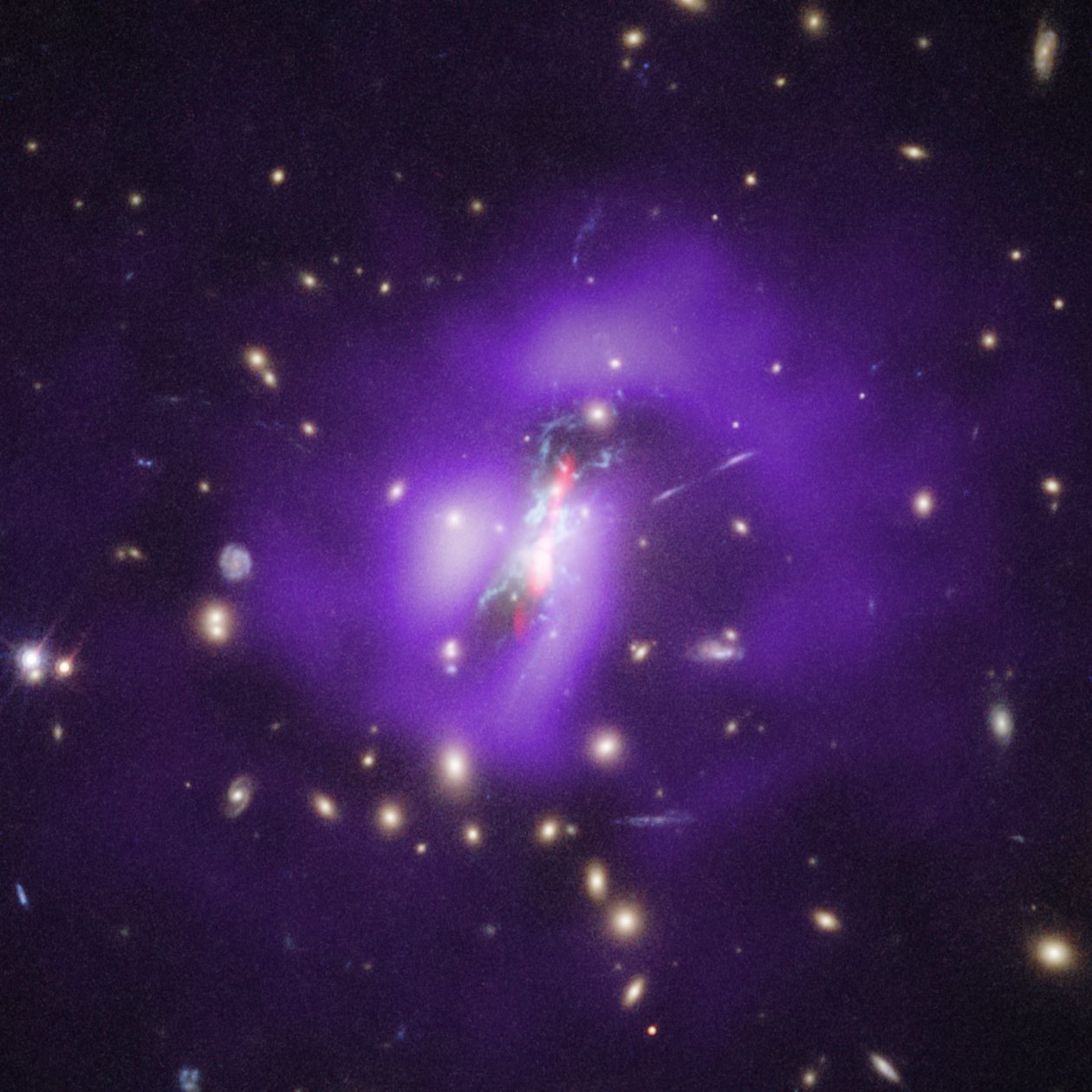 Phoenix-klustret (Hubble, Chandra, VLA) av James Webb Space Telescope (NASA)