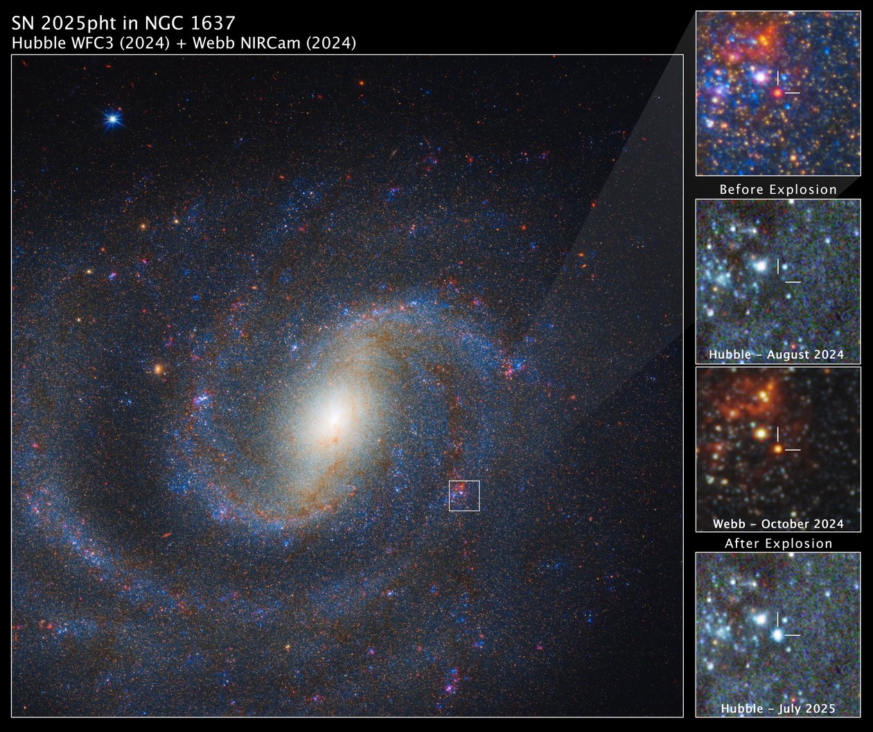 SN 2025pht i NGC 1637 av James Webb Space Telescope (NASA)