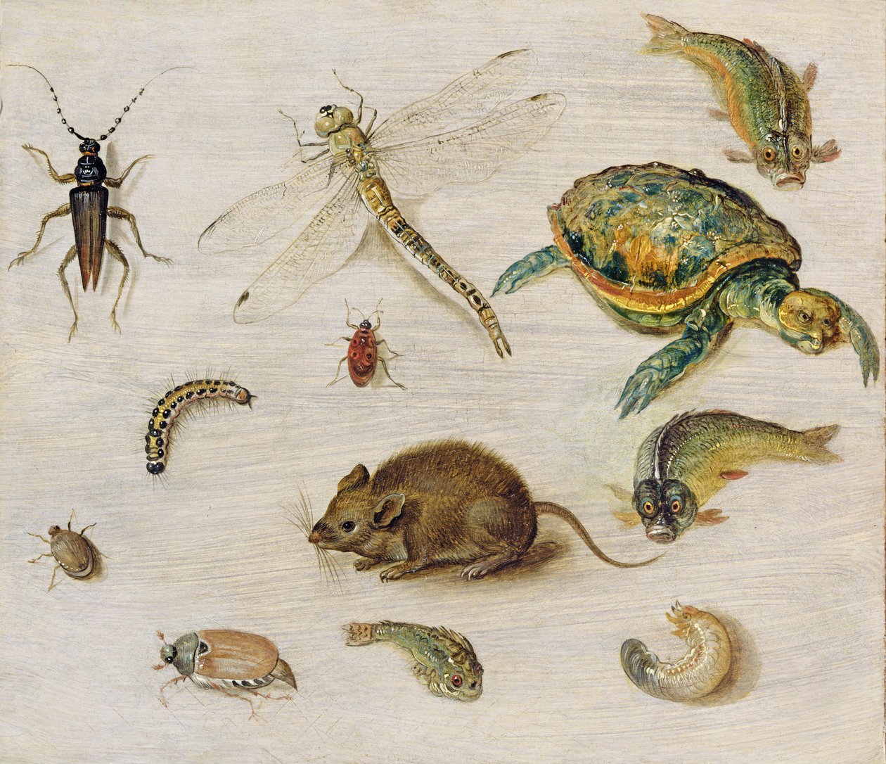 En studie av insekter, havsdjur och en mus av Jan the Elder Brueghel