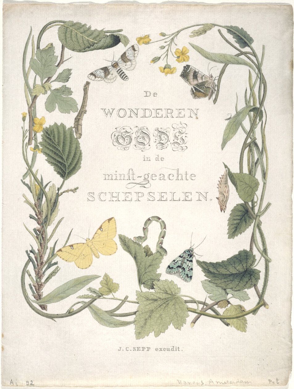 Nattfjärilar från den första familjen i det första gänget. Flik. III., 1762-1860 av Jan Christiaen Sepp