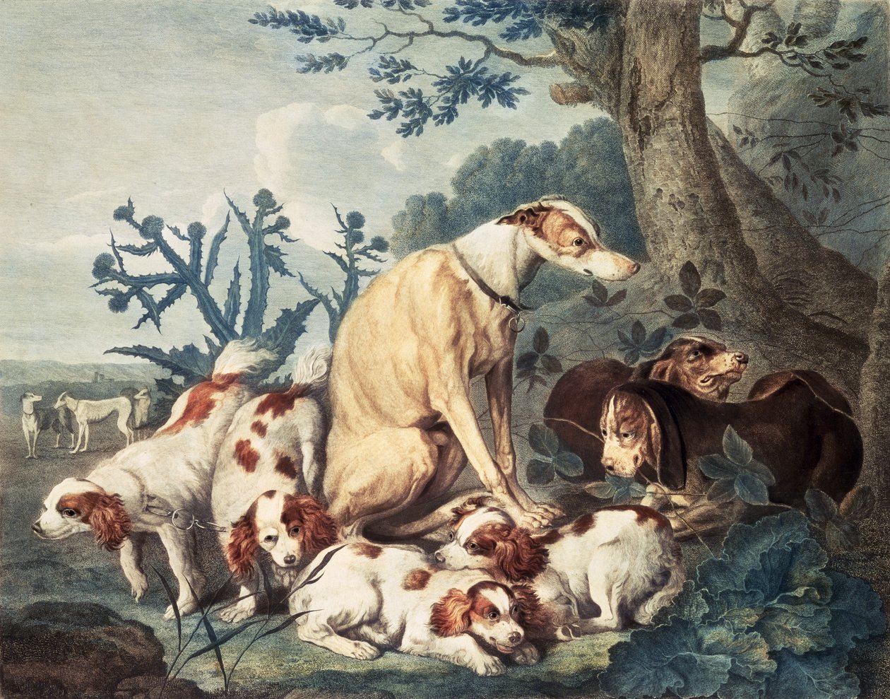 Porträtt av hundar, graverade av Daniel Lerpiniere (ca 1745-85), utgivna av John und Josiah Boydell, 1799 (stiplingsgravyr) av Jan Fyt