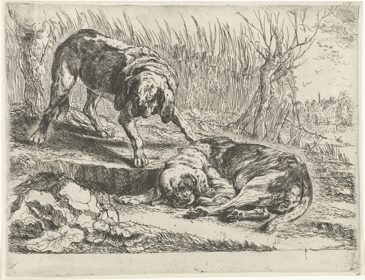 Two dogs av Jan Fyt