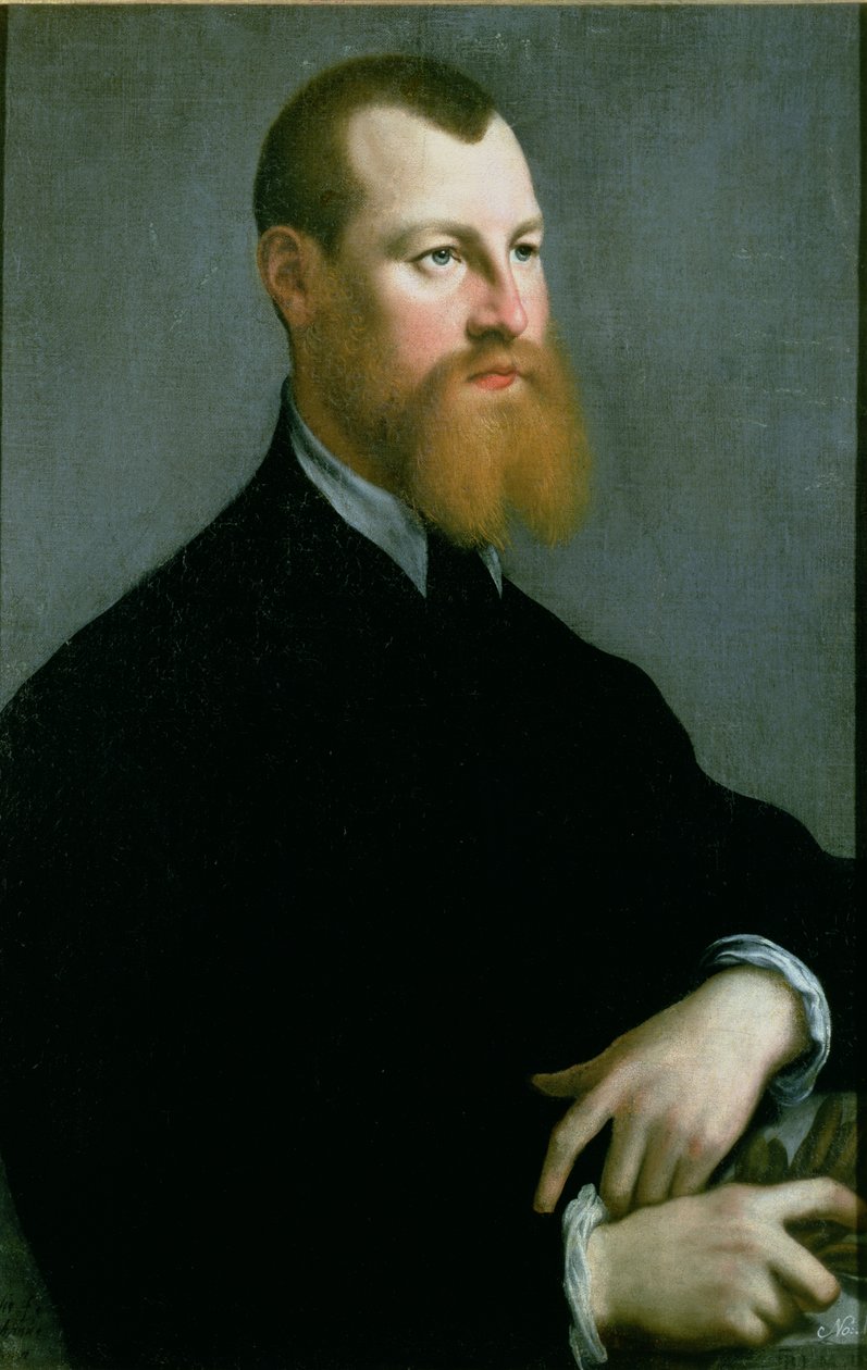 Porträtt av en man med rödskägg, 1500-talet av Jan Stephen van Calcar