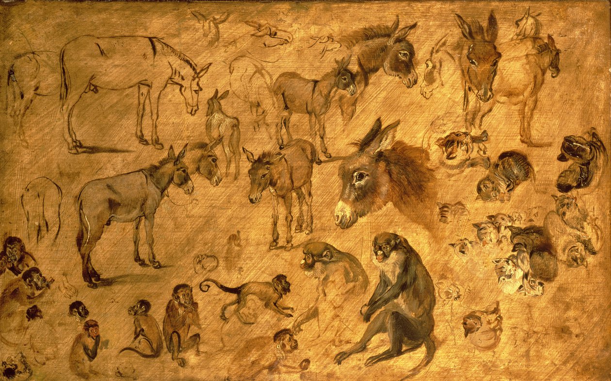 Studie av åsnor, kattungar och apor, 1616 av Jan the Elder Brueghel