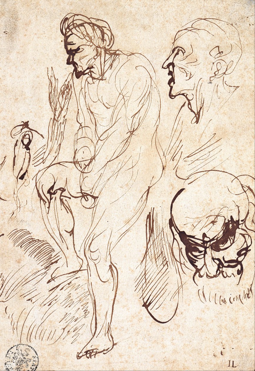 Studier efter modellen av Jan the Elder Lievens