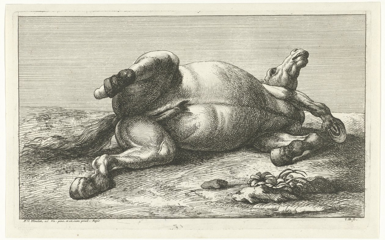 Horses killed in action lying on its back av Jan van Huchtenburgh  