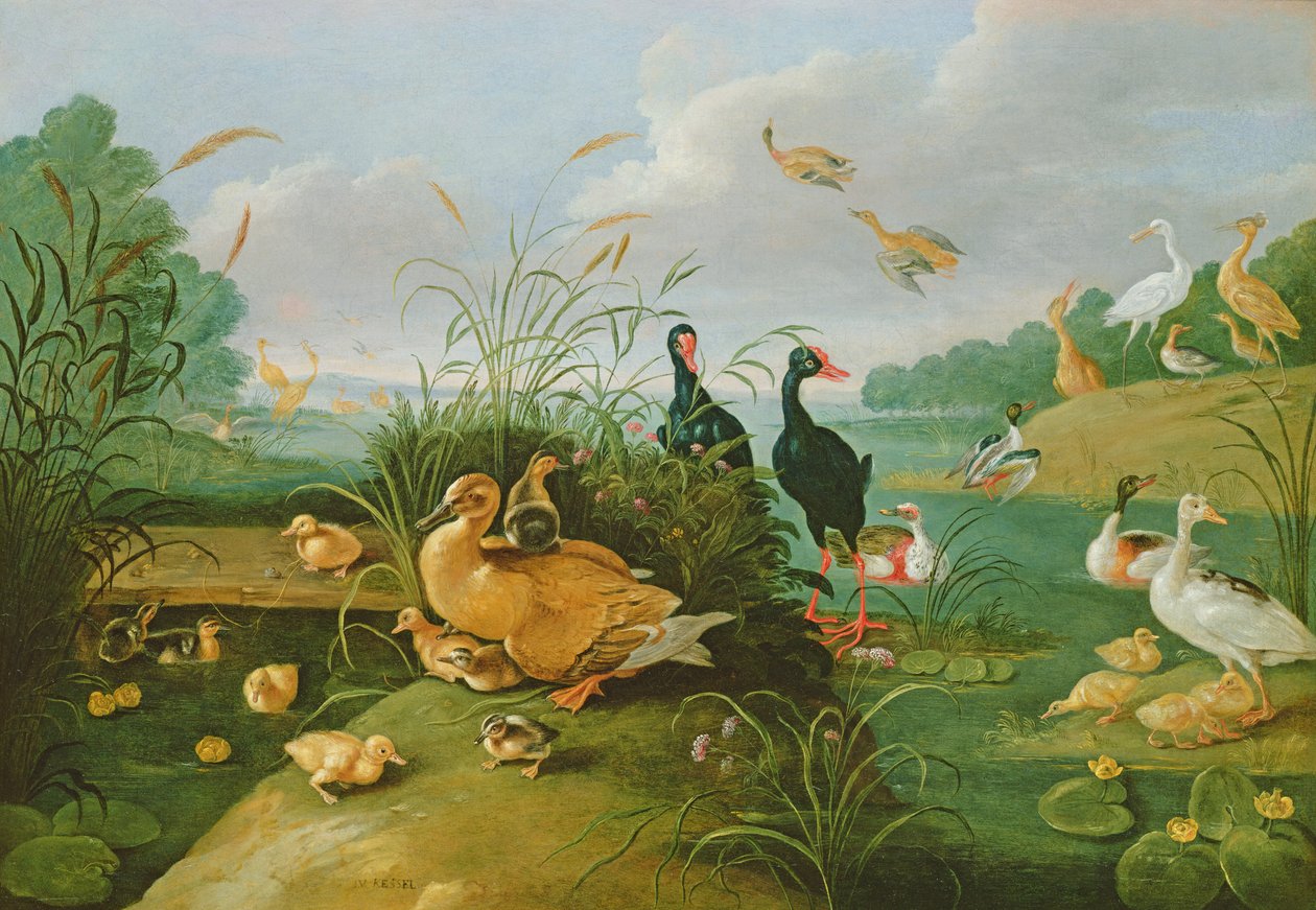 Dekorativa höns och ankungar av Jan van Kessel the Elder
