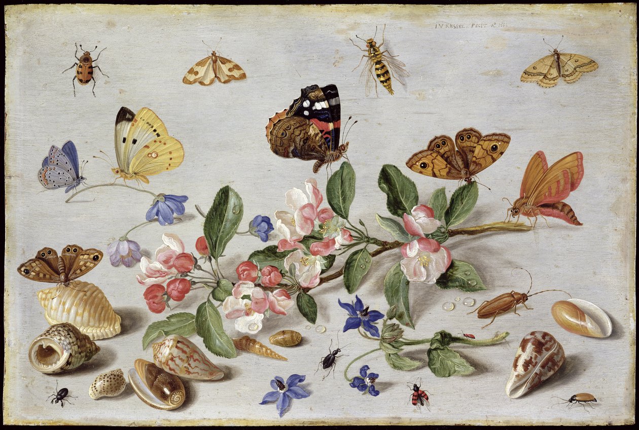 Insekter (olja på koppar) av Jan van Kessel the Elder