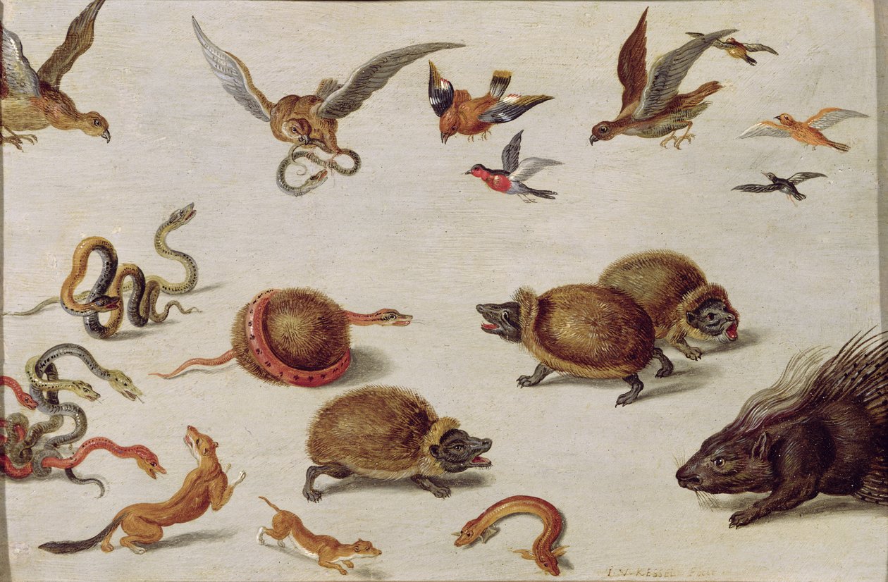 Ormarnas fiender av Jan van Kessel the Elder