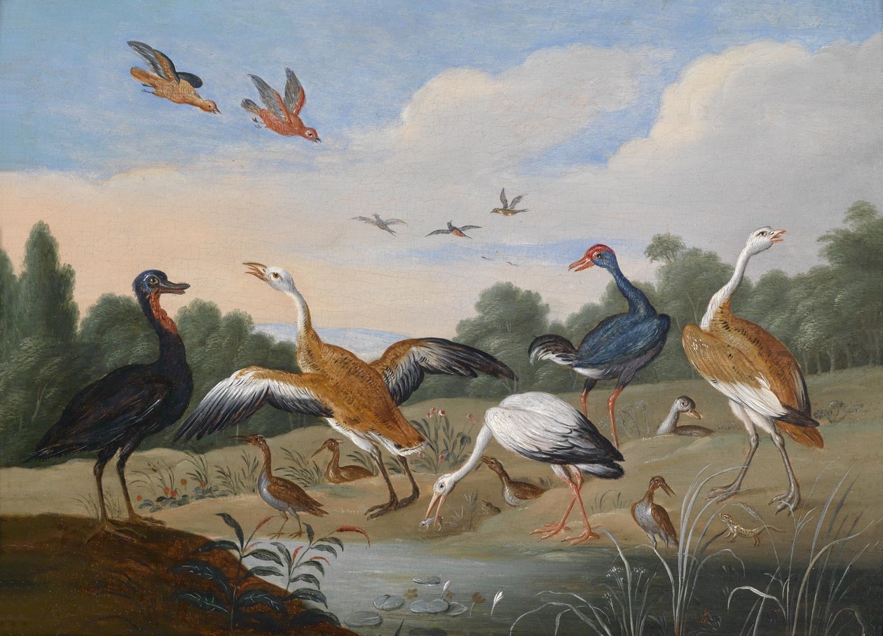 Hägrar och ankor på en flod av Jan van Kessel the Elder