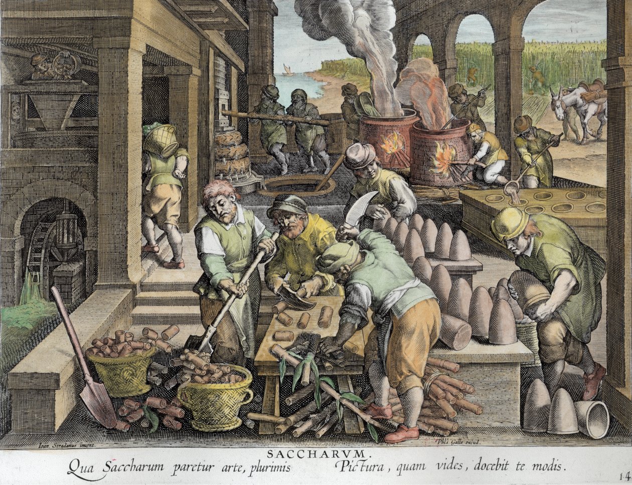 En sockerkvarn och produktion av sockerlimpor, plåt 14 från 