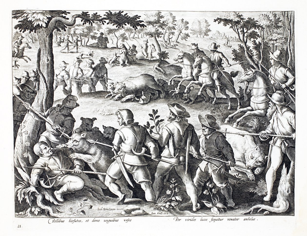 Björnjakt med hundar och spjut, illustration från 