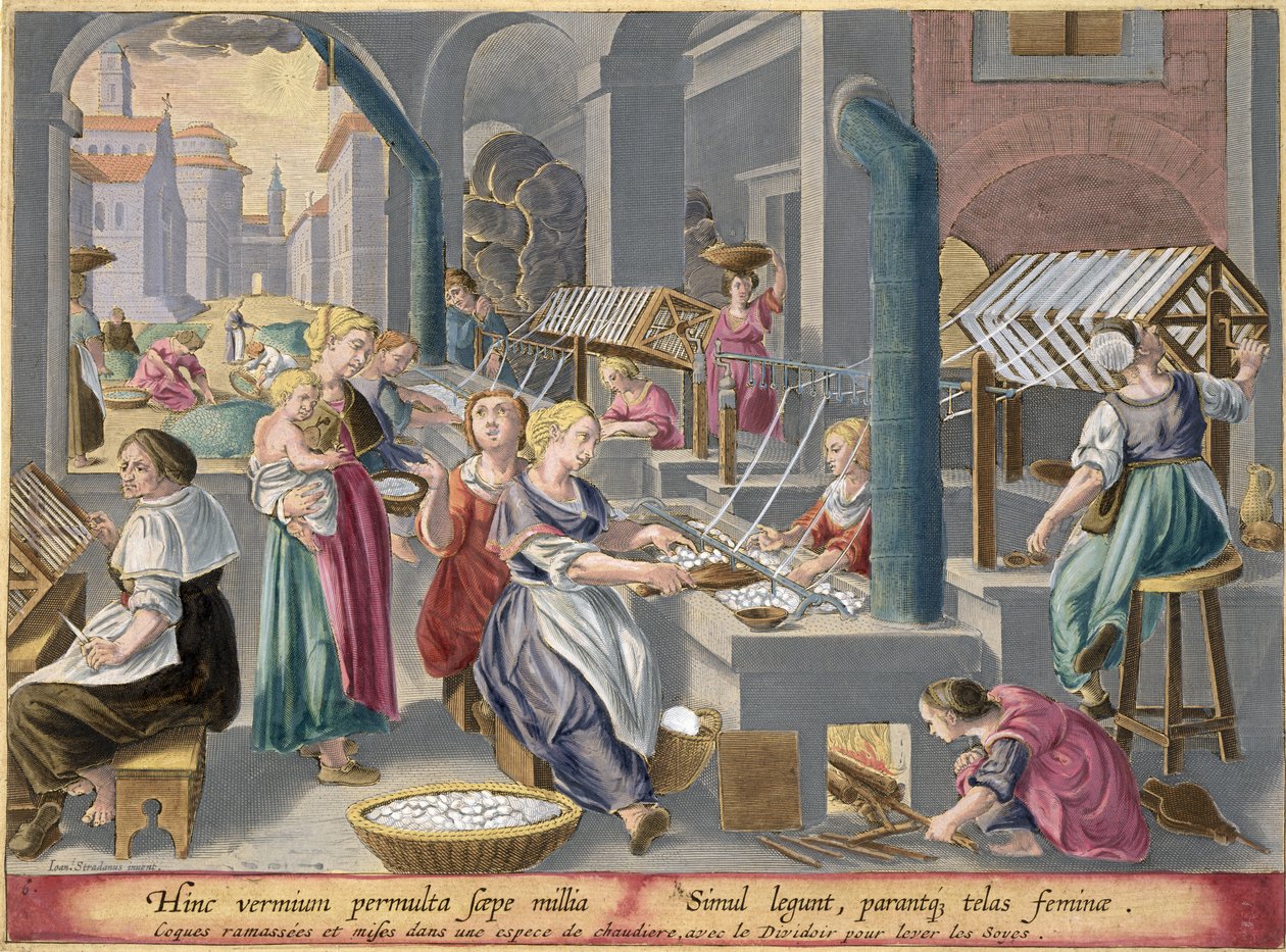 Kokongerna kokas för att förstöra krysaliderna och mjuka upp trådarna och rullas för att göra silke, platta 6 från "Vermis Sericus" (silkesmasken), graverad av Philip Galle (1537-1612). av Jan van der Straet