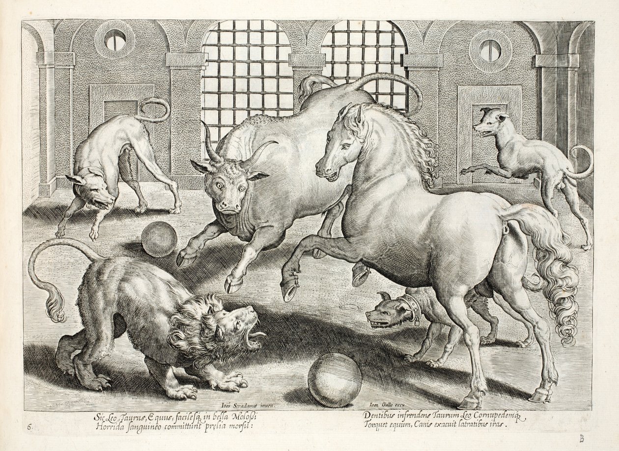 Hårda, blodiga strider mellan ett lejon, tjur och häst, omgiven av arga skällande hundar, illustration från 