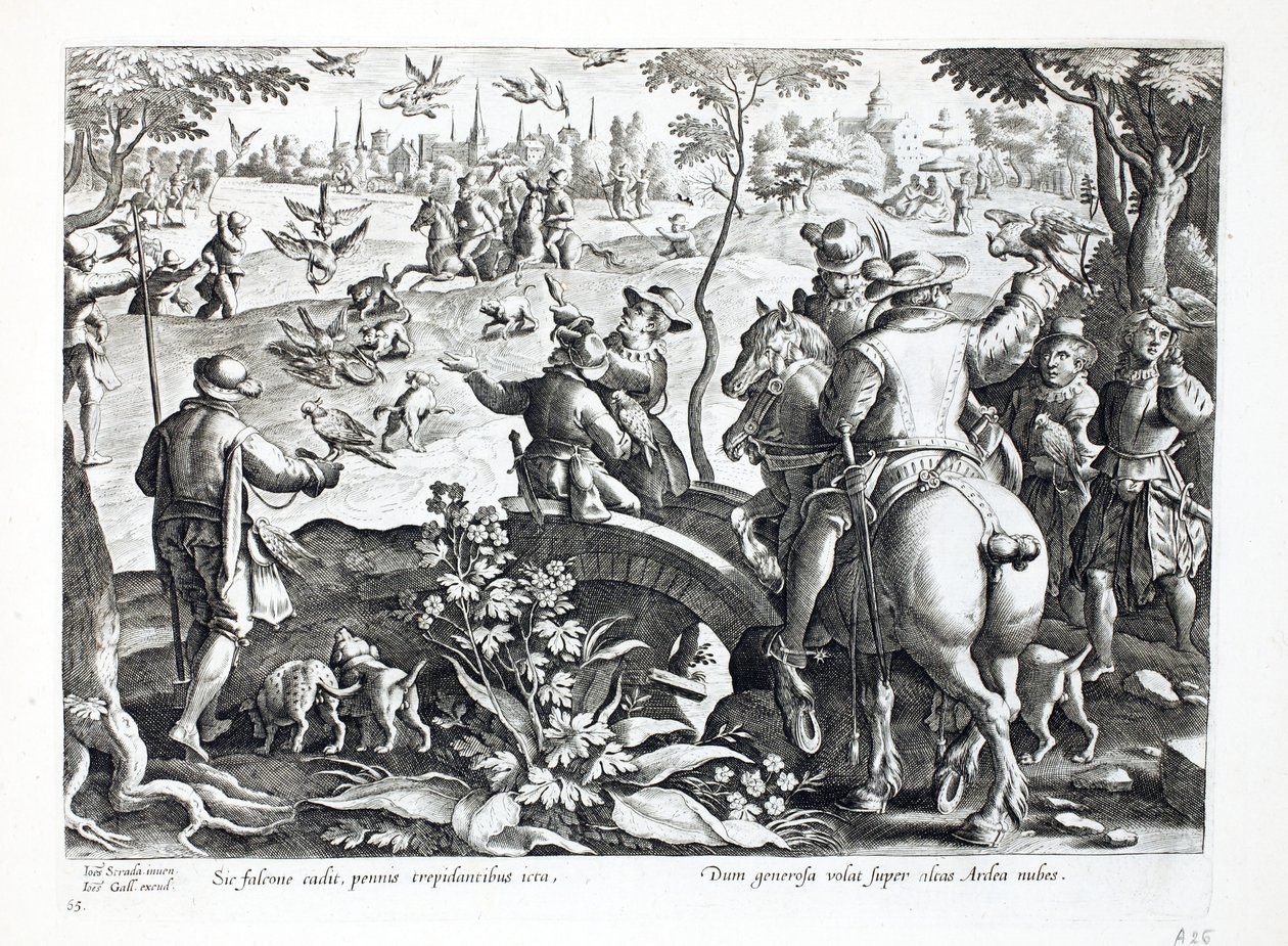 Jakt med falkar, illustration ur "Venationes, Ferarum, Avium, Piscium" (Om jakt: vilda djur, fåglar, fisk), graverad av Jan Collaert (1566-1628), utgiven av Phillipus Gallaeus, Amsterdam (graverad). av Jan van der Straet
