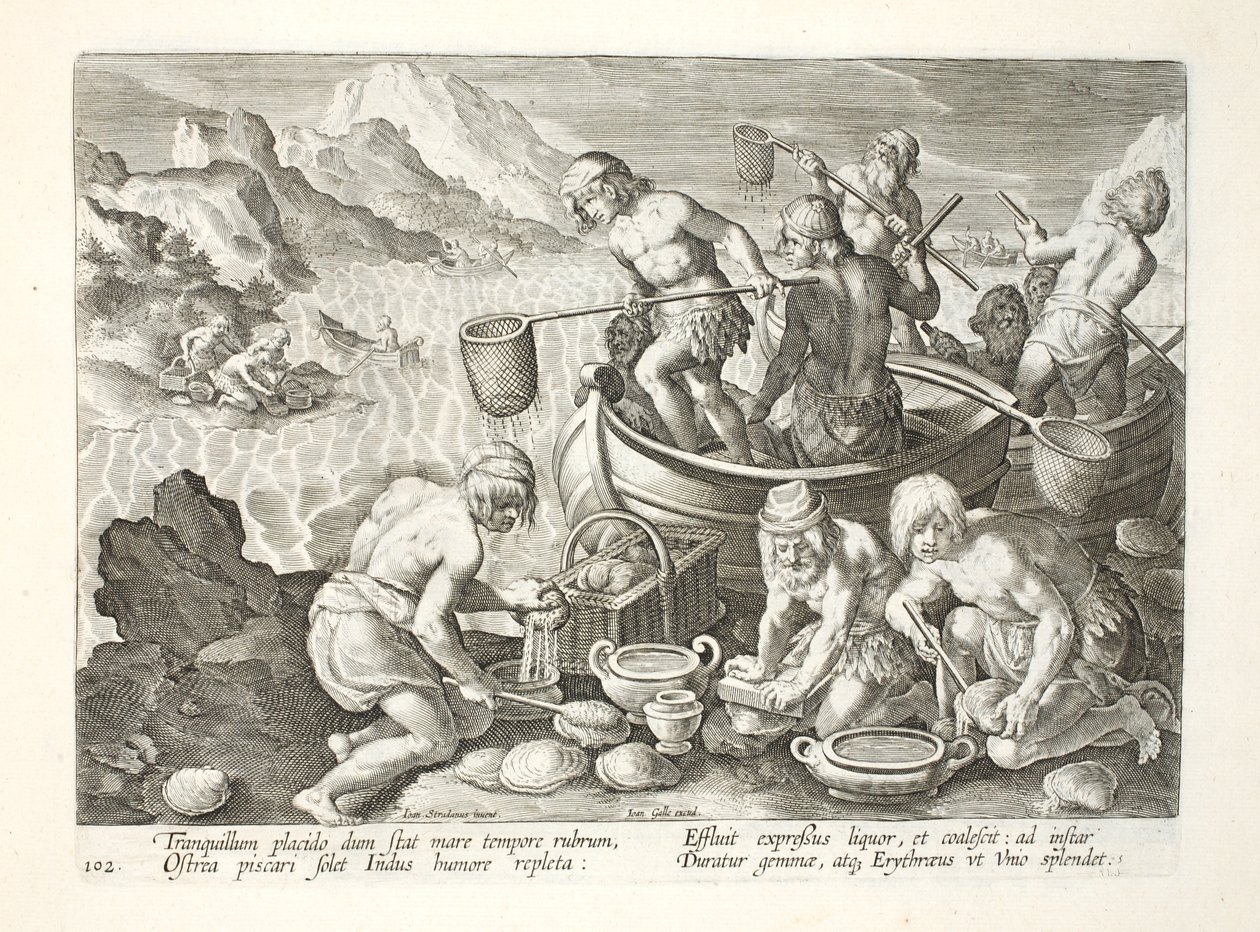 Infödda som fiskar efter jättemusslor på Indus, skylt 102, illustration från 