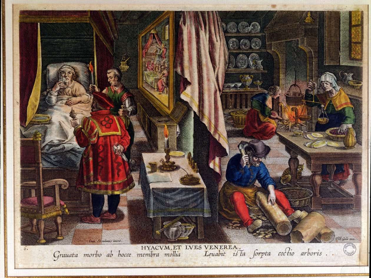 Förberedelse och användning av Guayaco för behandling av syfilis, graverad av Philip Galle (1537-1612) c.1570 (se även 91596) av Jan van der Straet