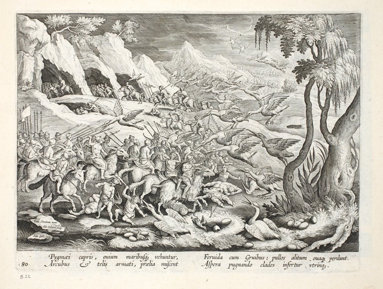 Pygméer på getter som jagar Trana, illustration från 