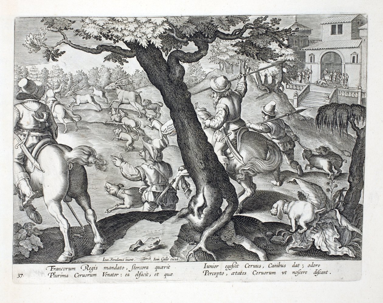 Den franska kungens hjortjakt med hundar, illustration från 