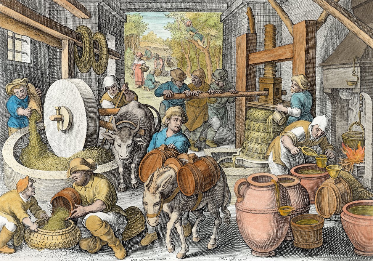 The Production of Olive Oil, tallrik 13 från 