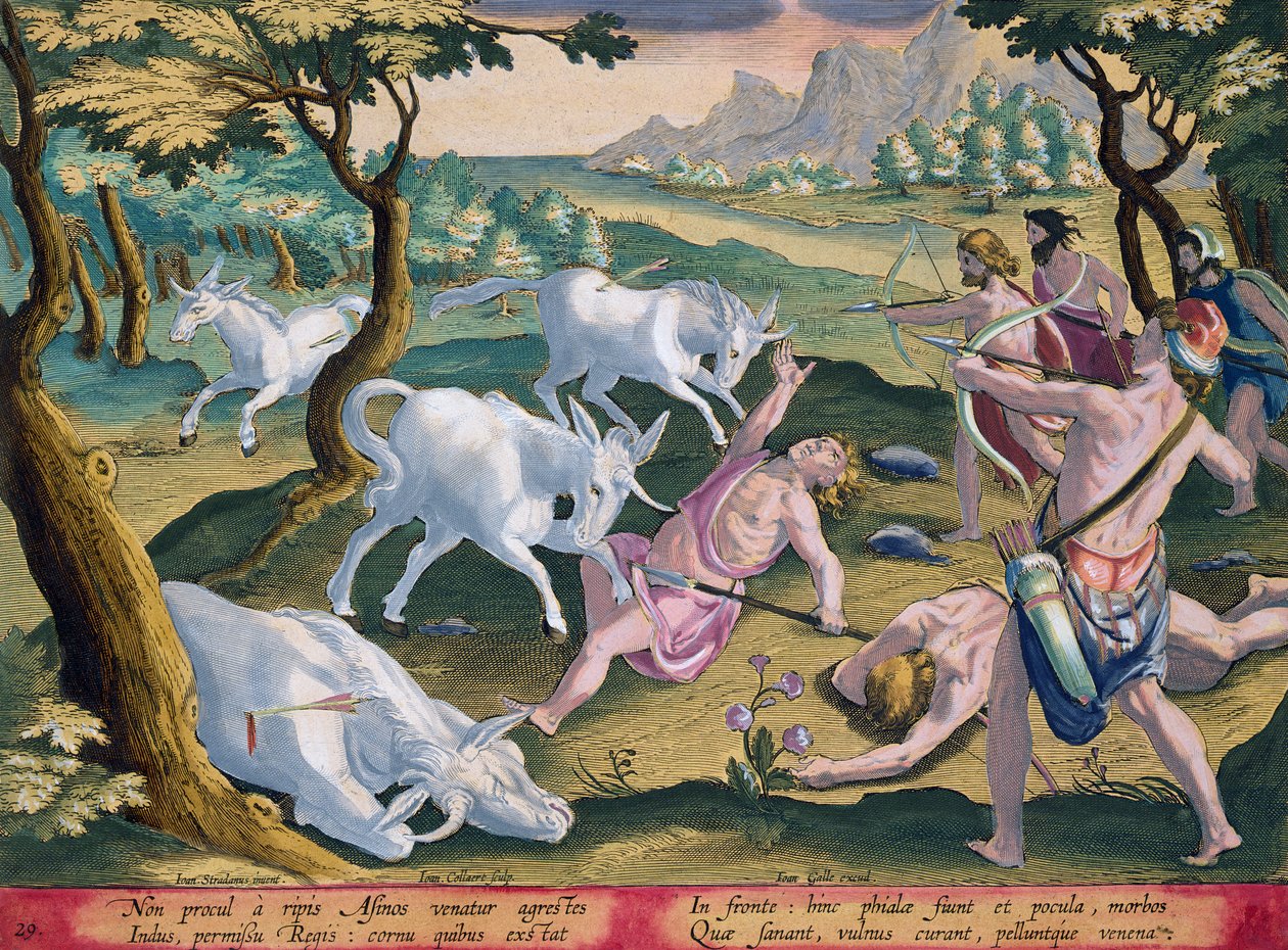 Unicorns on the Banks of the Indus, Hunted by the King, skylt 29 från 