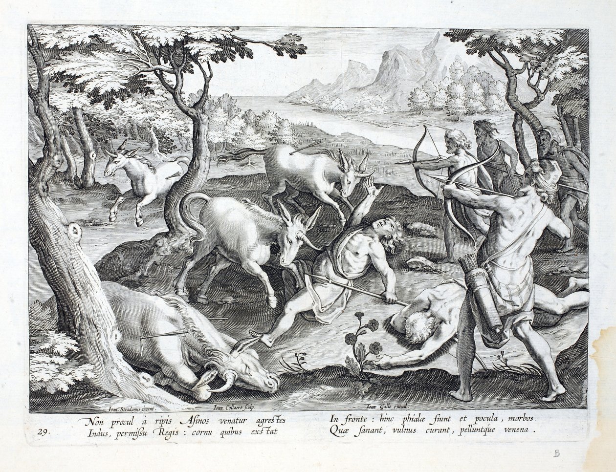 Enhörningar på stranden av Indus, jagade med kungens tillstånd, illustration från 