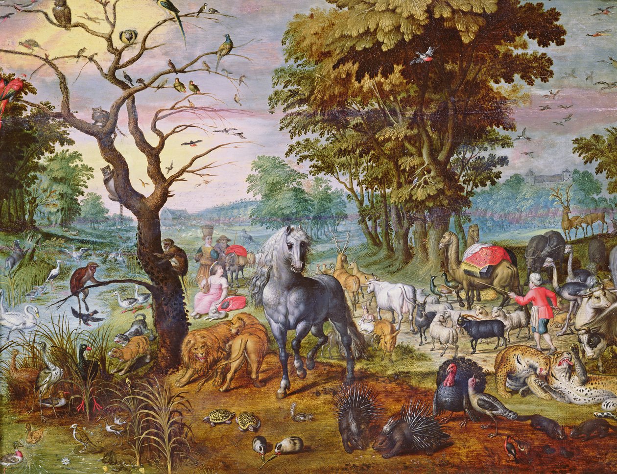 Inträdet till arken av Jan van Kessel the Elder