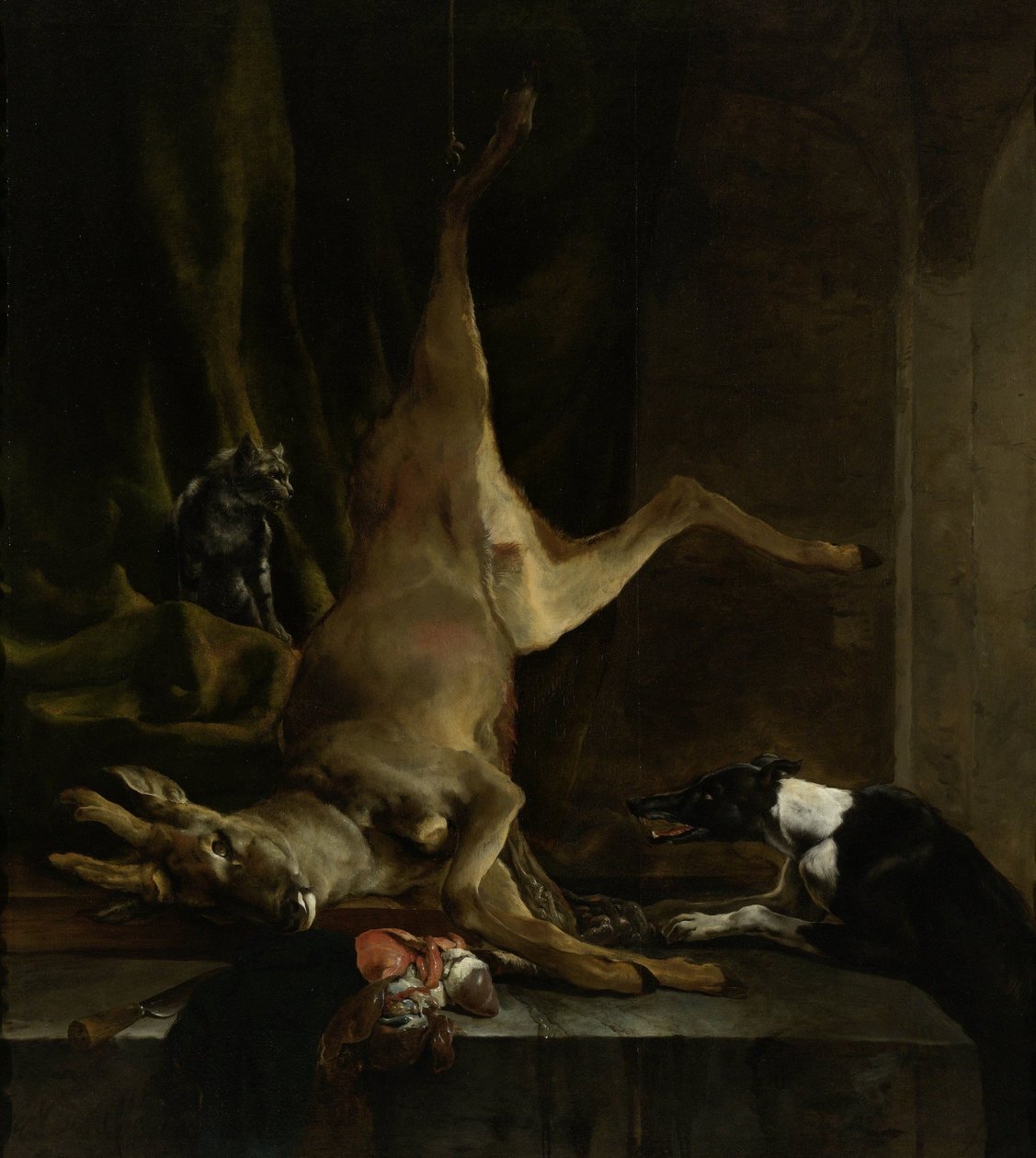En hund och en katt nära en delvis urkroppslig hjort av Jan Baptist Weenix